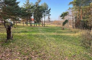 Grundstück zu kaufen in 14550 Groß Kreutz, Mehrere Baugrundstücke in Groß Kreutz -bauträgerfrei!