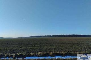 Grundstück zu kaufen in 02788 Hirschfelde, Bauen am Ortsrand