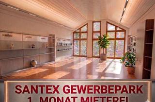 Büro zu mieten in Straßburg 18, 69483 Wald-Michelbach, Büroeinheit im Santex Gewerbepark | 1. Monat mietfrei