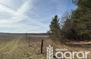 Gewerbeimmobilie kaufen in 16909 Wittstock, Eigenjagd (ca. 190 ha) zw. Berlin und Hamburg