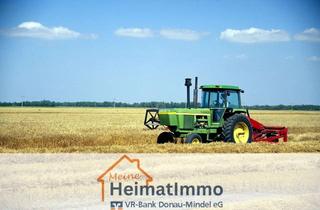Gewerbeimmobilie kaufen in 89441 Medlingen, Landwirtschaftliche Flächen in Medlingen!