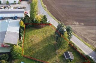 Gewerbeimmobilie mieten in Ullendorfer Str., 01665 Klipphausen, Grundstück für Hundeschule / Hundetraining zu vermieten – Top Lage zwischen Dresden & Meißen