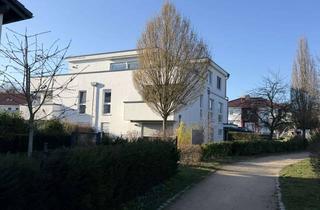 Wohnung mieten in Im Molkengrund 23, 34128 Jungfernkopf, Moderne 2-Zimmer-Erdgeschosswohnung mit Terrasse und Garten in Kassel-Jungfernkopf