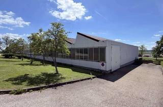 Gewerbeimmobilie kaufen in 72535 Heroldstatt, Produktions- und Lagerhalle *sofort frei* | Umnutzung in Wohnbebauung möglich!