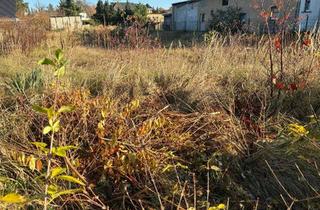 Grundstück zu kaufen in Hauptstraße 85, 01945 Guteborn, Ihr neuer Lebensmittelpunkt: Naturbelassenes Baugrundstück mit Charme in idyllischer Dorflage