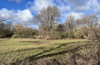 Grundstück zu kaufen in 14513 Teltow, Großes Baugrundstück in Teltow-Seehof