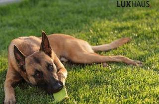 Grundstück zu kaufen in 56659 Burgbrohl, Mit LUXHAUS ankommen und wohlfühlen - naturnah leben in Burgbrohl