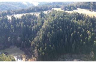 Gewerbeimmobilie kaufen in 78730 Lauterbach, 4,28 ha Waldgrundstücke in Lauterbach/Schwarzwald zu verkaufen