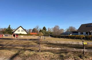 Immobilie kaufen in 15926 Heideblick, Baugrundstück auf dem Land - ruhig und grün -