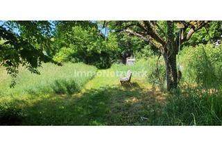 Immobilie kaufen in 71083 Herrenberg, Ihre Bau-Chance in Herrenberg – privat, ruhig, zentrumsnah