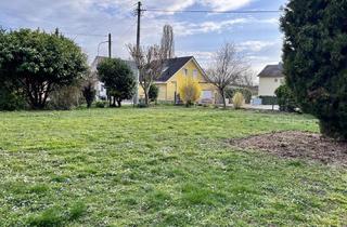 Immobilie kaufen in 67366 Weingarten, Attraktives Eckgrundstück in ruhiger Randlage - Mit positiver Bauvoranfrage für Ihr Einfamilienhaus!