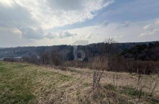 Grundstück zu kaufen in 72218 Wildberg, TRAUMGRUNDSTÜCK IM GRÜNEN