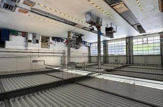 Geschäftslokal mieten in 49076 Osnabrück, Nutzfahrzeug Werkstatt mit repräsentativen Bürotrakt *** große Freifläche für die Fahrzeugausstellung