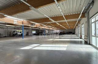 Haus kaufen in 89520 Heidenheim, Heidenheim an der Brenz - *RESERVIERT* Gewerbeanwesen mit Halle (1.625,00) + 3 Büros, 5 Wohnungen (370qm) Grundst. 4.369m²