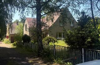 Haus kaufen in 04910 Elsterwerda, Elsterwerda - Großes WohnGewerbegrundstück, viel Grün, sehr ruhige Lage