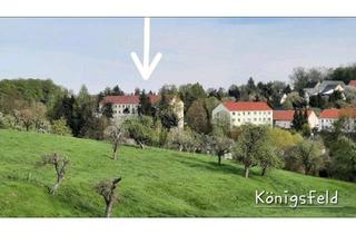 Wohnung kaufen in 09306 Rochlitz, Rochlitz - Eigentumswohnung 3 Zi Königsfeld Rochlitz Geithain ohne Makler