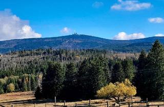 Wohnung kaufen in 38644 Goslar, Goslar - sonnige und gemütliche Eigentumswohnung