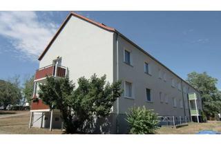 Wohnung mieten in Hermann-Duncker-Straße, 06179 Langenbogen, Schöne helle 2 -Raum-Wohnung im Grünen