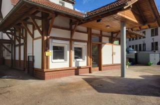 Wohnung mieten in Weinheimer Strasse, 69250 Schönau, 2-Zimmer-Wohnung in 69250 Schönau bei Heidelberg