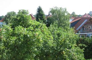 Wohnung mieten in Im Buchholzfelde, 30966 Hemmingen, Hemmingen: gemütliche, ruhige 2-Zi. DG-Wohnung mit Einbauküche, Teppich und saniertem Duschbad