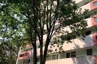 Wohnung mieten in Heinrich-Plett-Straße, 60433 Bonames, Frisch modernisierte 3-Zimmer-Wohnung mit Balkon zu vermieten!