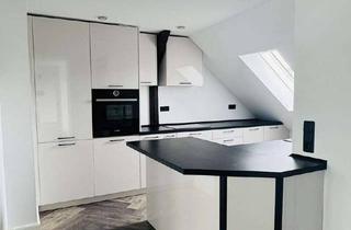 Wohnung mieten in Hüfnerstr. 10, 03042 Sandow, *Neu* exklusive 4-Raum-Wohnung mit Kamin, Klimaanlage, Dachterasse und vielen Extras