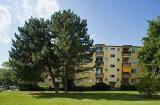 Wohnung mieten in Oldesloer Weg 18A, 13591 Staaken, Perfekt für Singles!