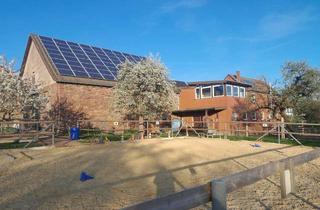 Haus kaufen in 37691 Derental, Provisionsfrei: Bezugsfertige Immobilie für Pferdefreunde inkl. Vermietungsoption