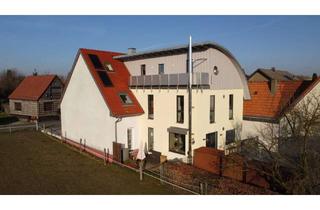 Haus kaufen in 34431 Marsberg, Licht, Raum und Lebensqualität – einzugsfertiges Zuhause mit Einliegerwohnung