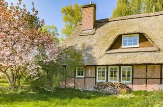 Haus kaufen in 23823 Seedorf, Natur, Charme & Weitblick - Reetdachhaus am Feldrand