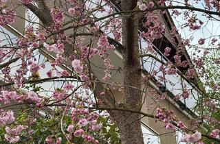 Einfamilienhaus kaufen in Ascher Str., 36199 Rotenburg, Großzügiges Einfamilienhaus mit Balkon und Terrasse in Rotenburg an der Fulda