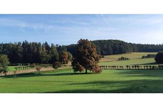 Haus kaufen in 91327 Gößweinstein, Top Lage in der Fränkischen Schweiz