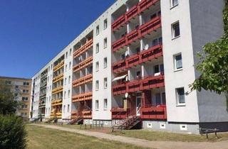 Wohnung mieten in Newtonstraße 11, 19063 Schwerin, Renovierte 3 Zimmer Wohnung mit EBK!