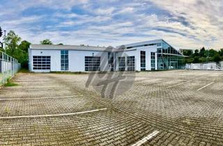 Büro zu mieten in 61191 Rosbach, EHEM. AUTOHAUS ✓ Ausstellung (500 m²) & Lager-/Werkstatt (600 m²) & Büro-/Sozial (150 m²) & 50 x Pkw
