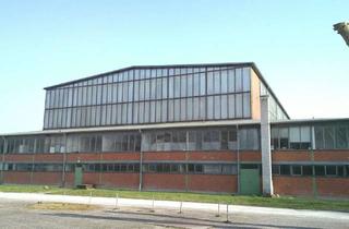 Gewerbeimmobilie mieten in Forstdeichstraße 1-3, 76661 Philippsburg, Lager- / Produktionshalle mit Kranbahn 30 t Rheinsheim / Philippsburg