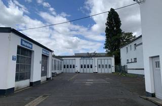 Gewerbeimmobilie mieten in Vahrenwalder Straße 219, 30165 Vahrenwald, Lagerfläche ebenerdig plus begehbares Regalsystem