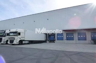 Büro zu mieten in 55252 Mainz-Kastel, Ab sofort! | 2500m² Lagergebäude + 600m² Büro