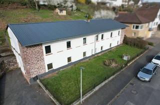 Gewerbeimmobilie kaufen in 34385 Bad Karlshafen, Sanierte Produktions- und Lagerhalle mit zusätzlichem Baugrundstück in Bad Karlshafen