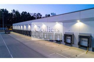 Gewerbeimmobilie mieten in 67105 Schifferstadt, Projektentwicklung in Schifferstadt - ca. 50.000 m² - PROVISIONSFREI