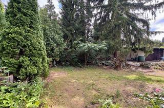 Grundstück zu kaufen in 13467 Hermsdorf, Eines der letzten großen Grundstücke - Sanierung, Neubau oder Teilung