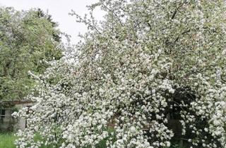 Grundstück zu kaufen in 12107 Berlin, Großzügiges, voll erschlossenes Baugrundstück im Süden Berlins