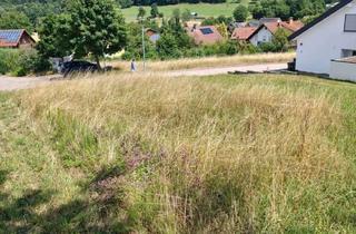 Grundstück zu kaufen in Gässl 20, 74937 Spechbach, Baugrundstück in Spechbach! Toplage unverbaubar nähe Heidelberg und Sinsheim