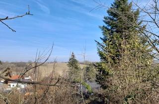 Grundstück zu kaufen in 90559 Burgthann, Bauplatz bzw. Gartengrundstück mit kleinem Wochenendhaus - schöne Hanglage, tolle Weitsicht!
