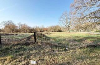 Grundstück zu kaufen in 19294 Bresegard, Baugrundstück nahe Ludwigslust – flexibel bebaubar & teilbar