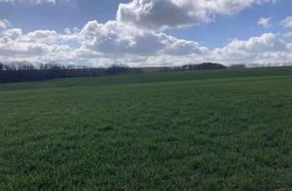 Grundstück zu kaufen in 01665 Käbschütztal, Grundstück mit großem Garten