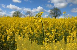 Grundstück zu kaufen in 01665 Käbschütztal, Wohnen im Grünen