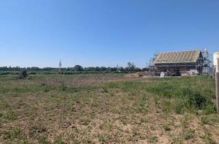 Grundstück zu kaufen in Am Schäftgraben, 69514 Laudenbach, Einfamilienhaus oder Doppelhaushälfte: erschlossenes Bauland "im Kisselfließ"