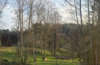 Grundstück zu kaufen in Altenhammer, 92696 Flossenbürg, Große Waldflächen mit Zuwegungen