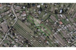 Grundstück zu kaufen in 17098 Friedland, Kleingartengrundstücke in Friedland