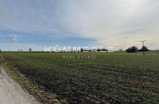 Gewerbeimmobilie kaufen in 71701 Schwieberdingen, Unbebautes Gewerbegrundstück in gefragter Lage im Gewerbegebiet von Schwieberdingen